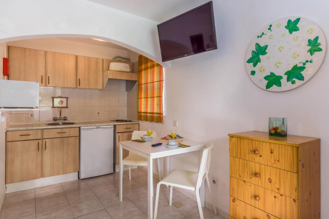 Palm Estudios Appartement